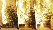 Unterschätzte Gefahr: Ein trockener Christbaum kann innerhalb von Sekunden zum Inferno im ...