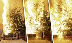 Unterschätzte Gefahr: Ein trockener Christbaum kann innerhalb von Sekunden zum Inferno im ...