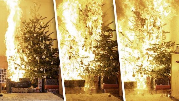 Unterschätzte Gefahr: Ein trockener Christbaum kann innerhalb von Sekunden zum Inferno im ...