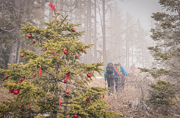 Am 1. Adventsonntag geht es bei den Adventwanderungen auf die kleine, aber feine Topitza hoch ...
