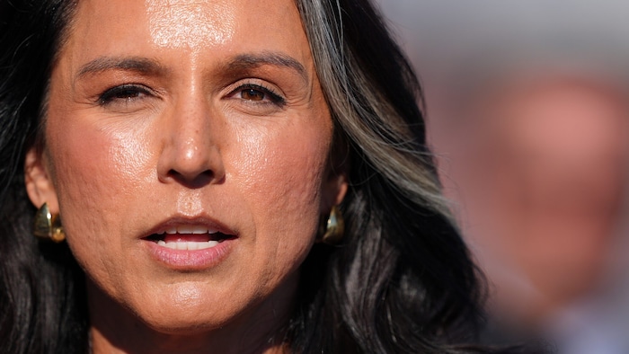 Tulsi Gabbard war offenbar frustriert über die langsame Arbeit der CIA.