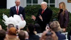 Präsident Trump begnadigt Truthahn „Gobble“ im Rosengarten des Weißen Hauses