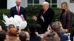 Präsident Trump begnadigt Truthahn „Gobble“ im Rosengarten des Weißen Hauses