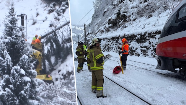 Due to a tree falling into the overhead line, the S-Bahn was stranded on the open track.