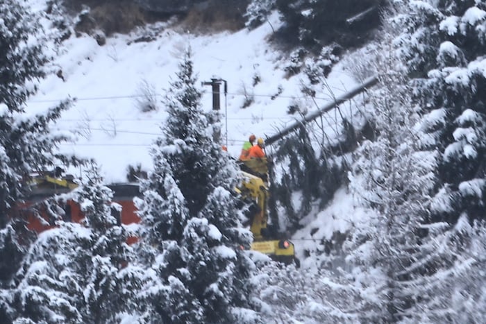 ÖBB workers removing the tree.