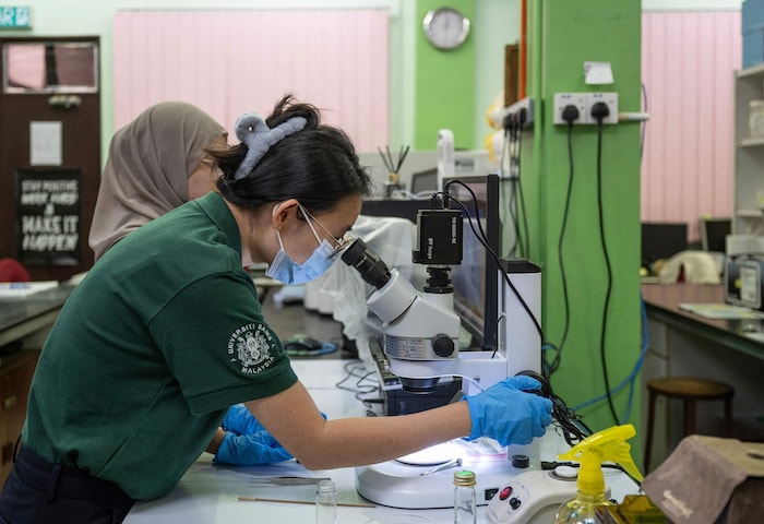 Das Forschungsteam untersucht seit Jahren Bettwanzen.