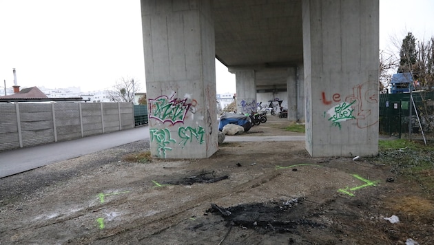 The 21-year-old Ukrainian was discovered in a burnt-out car in Vienna-Donaustadt and is likely ...