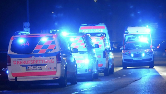 Nach der abscheulichen Tat in der Donaustadt am Montag, kommen nun immer mehr Details ans Licht.