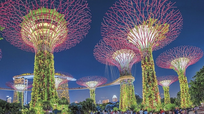 Die Gardens by the Bay in Singapur sind vor allem nachts ein Highlight.