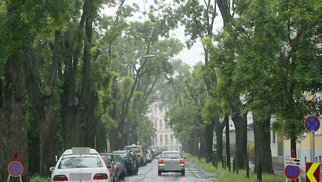 Mehr entsiegelte Flächen und ein größerer Baumbestand machen die Hitze erträglicher.
