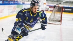 Bleibt Eisbär: Blaz Tomazevic.