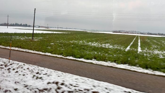 Seit Jahren zieht sich ein Streit um eine Liegenschaft in Pasching (Symbolfoto) in die Länge. ...