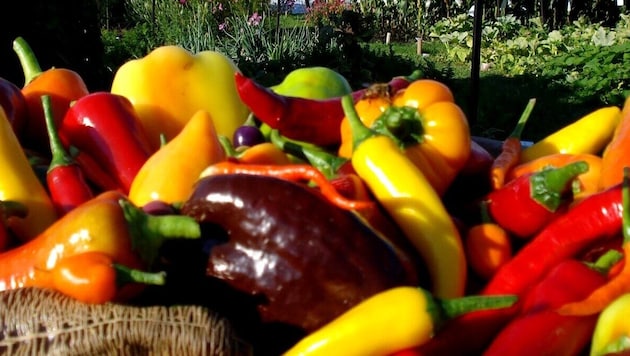 Eine breite Allianz fordert eine Korrektur beim EU-Kurs.