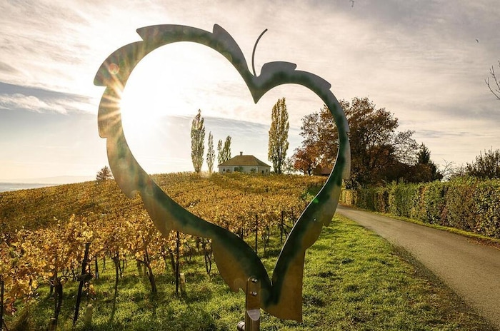 Mit dem Herbst ergeben sich in der Steiermark aber auch wunderbare Ausblicke