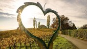 Die Bilanz für das Tourismusjahr 2025 fällt positiv aus.