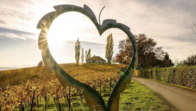 Die Bilanz für das Tourismusjahr 2025 fällt positiv aus.