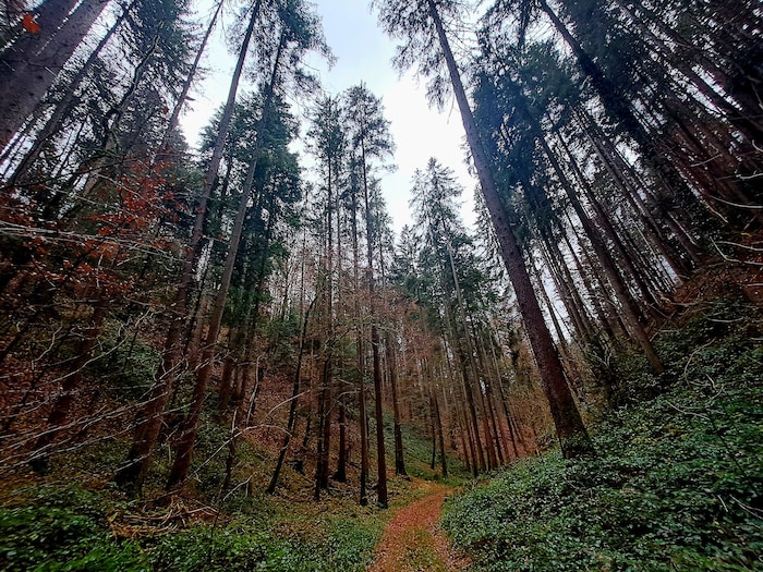 Das Gebiet Winterthal.