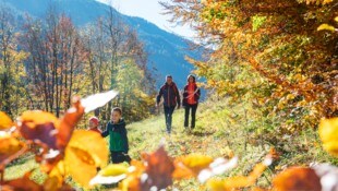 Neben dem Winter werden auch Sommer und Herbst für Vorarlberg als Urlaubsdestination immer ...