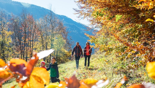 Neben dem Winter werden auch Sommer und Herbst für Vorarlberg als Urlaubsdestination immer ...