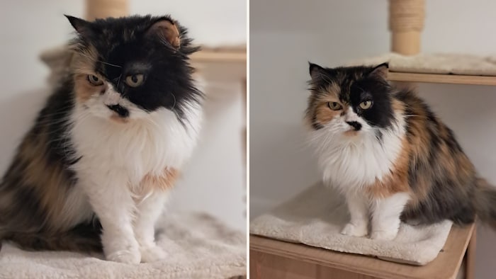 Ich bin gar nicht so grimmig, wie mein Blick zuerst vermuten lässt!