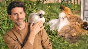 „Das Huhn ist der neue Hund“, ist Benedikt Stimpfl-Abele überzeugt. Seine Seidenhühner brachten ...
