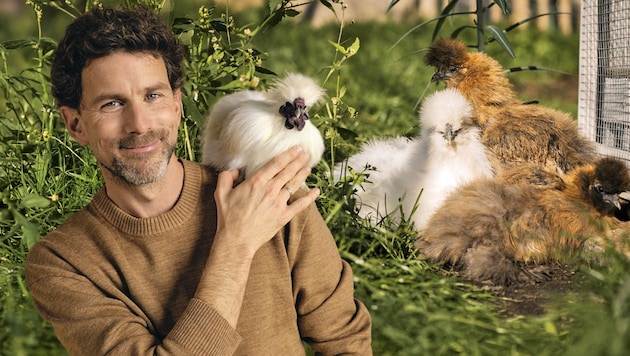 „Das Huhn ist der neue Hund“, ist Benedikt Stimpfl-Abele überzeugt. Seine Seidenhühner brachten ...