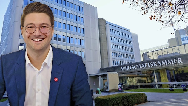 Niko Swatek (NEOS) nimmt – wieder einmal – die Wirtschaftskammer ins Visier