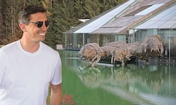 Mark Mateschitz vor dem Red Bull Headquarter in Fuschl, Fotomontage.