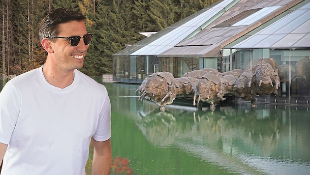 Die neue Firma im Reich von Red-Bull-Miteigentümer Mark Mateschitz hat ihren Sitz in der ...