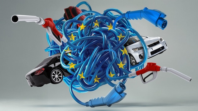 Wunsch und Wirklichkeit klaffen bei den Neuzulassungen von E-Autos auseinander.