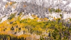 Im Bild: Big Cottonwood Canyon