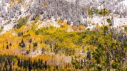Im Bild: Big Cottonwood Canyon