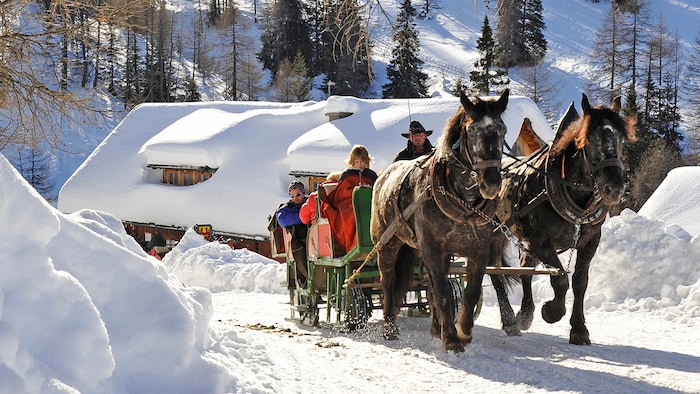 Bis ins Gontal fährt Neuschitzer mit den Kutschen.