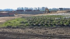 Für die Befragung wurden 1000 Personen ab 16 Jahren online interviewt.