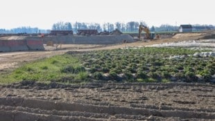 150.000 Hektar – Äcker, Wiesen, fruchtbare Erde – sind weg.