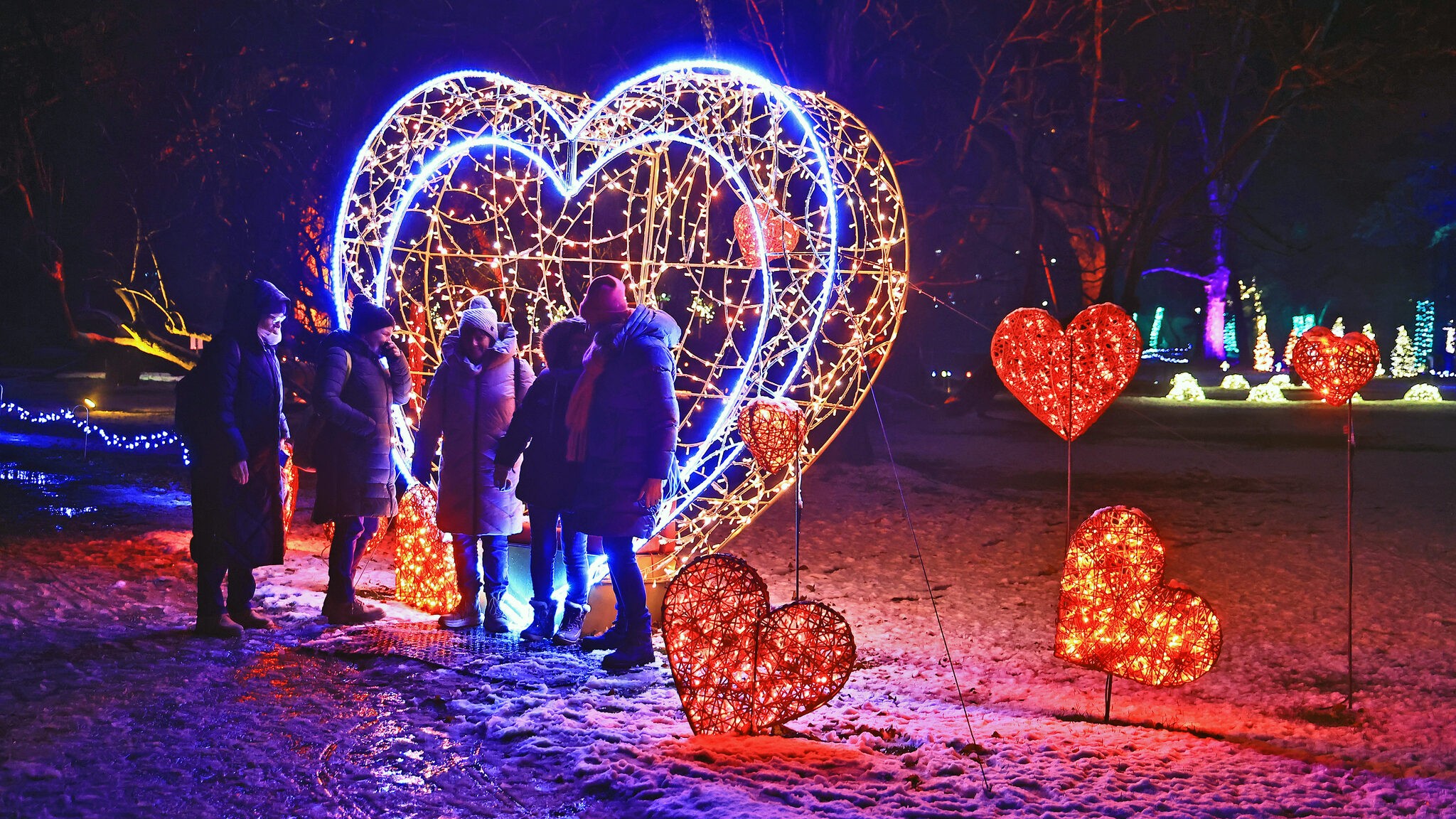 . . . schätzen die älteren Gäste die schönen Fotomotive, die die bunt beleuchteten ...