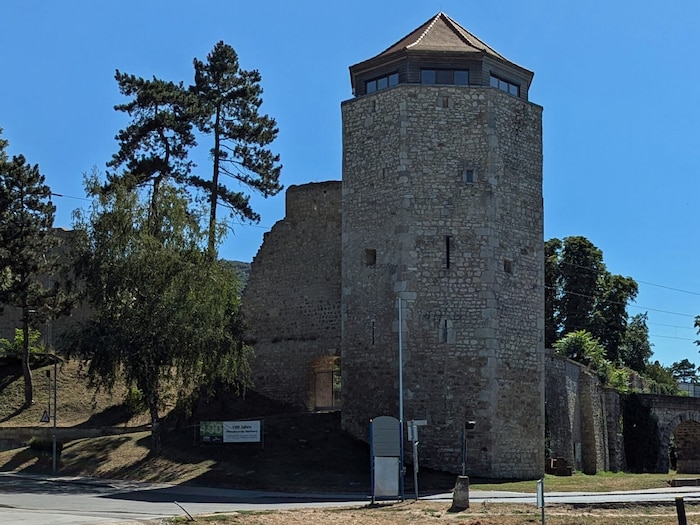 Mit Blick auf den historischen Wasserturm werden die Schüler künftig in der neuen AHS in ...