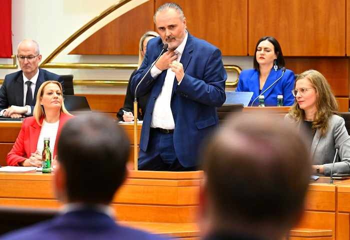 Doskozil hielt wegen seiner Stimme eine verkürzte Budgetrede. Der Misstrauensantrag gegen ihn ...