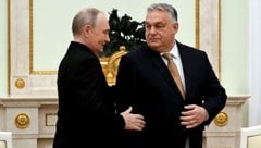 Viele freundschaftliche Gesten zwischen Wladimir Putin und Viktor Orbán während ihres Treffens ...