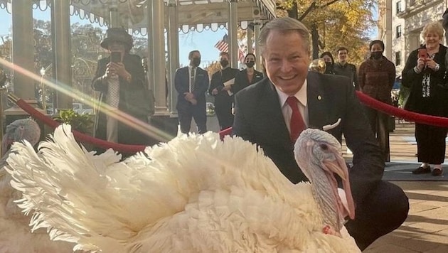 Dieser Truthahn lebt das ganze Jahr über in Platzers Hotel.