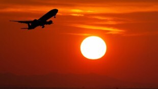 Mehr als die Hälfte der weltweiten Airbus-Flotte ist betroffen.