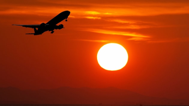 Mehr als die Hälfte der weltweiten Airbus-Flotte ist betroffen.