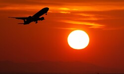 Mehr als die Hälfte der weltweiten Airbus-Flotte ist betroffen.