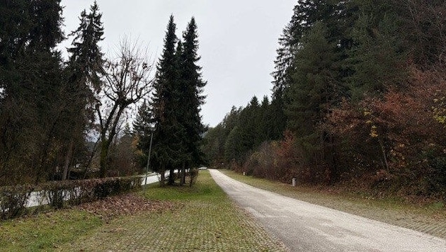 Der bestehende Parkplatz an der Norduferstraße soll in den Wald hinein erweitert werden.