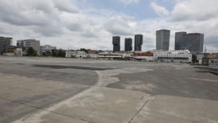 Das Areal in St. Marx ist eine der letzte großen Freifläche.