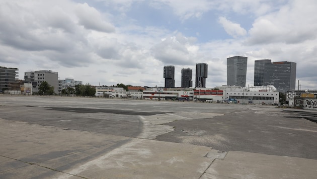 Das Areal in St. Marx ist eine der letzte großen Freifläche.