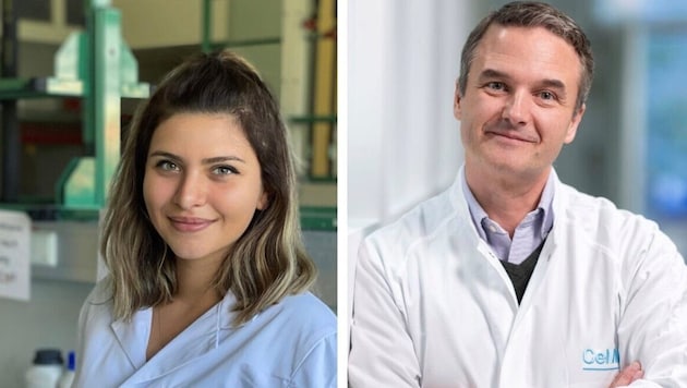 Die Forscher zeigen einen Weg auf, Tumorzellen auszuschalten, während gesunde Zellen verschont ...