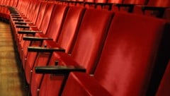 Ein Pariser Kino hat wegen Bettwanzen-Alarm die Säle vorübergehend geschlossen. (Symbolbild)