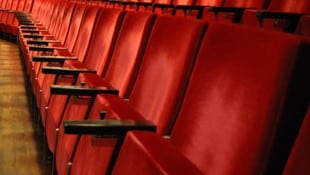 Ein Pariser Kino hat wegen Bettwanzen-Alarm die Säle vorübergehend geschlossen. (Symbolbild)