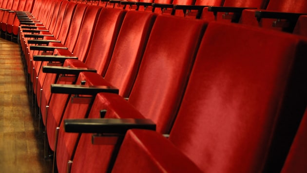 Ein Pariser Kino hat wegen Bettwanzen-Alarm die Säle vorübergehend geschlossen. (Symbolbild)